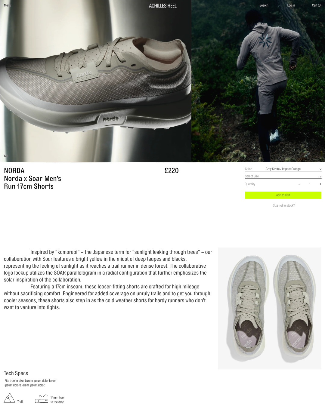 Achilles Heel Website 7